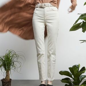Madewell Perfect Vintage Jean in Vintage Canvas